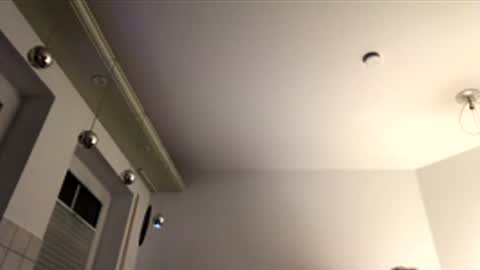 Snapshot of dachdecker7269 chatting on 16, 12, 2025 dachdecker7269 online show from 16, 12, 2025