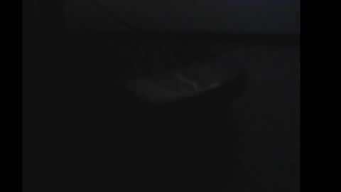 daddy4you60 online show from 1, 1, 2025