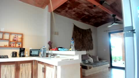 Belle  Email daddydaycarecb  online show from 11, 3, 2025