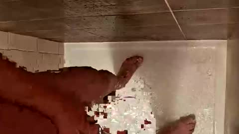 LetsHaveFunTogether online show from 29, 10, 2025