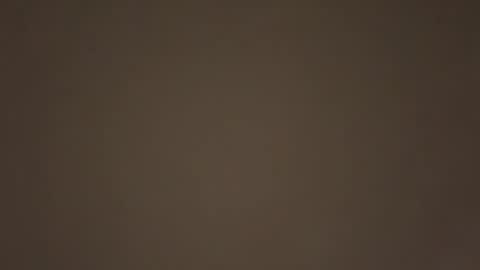 Snapshot of daddydom0000 chatting on 17, 1, 2026 Daddy online show from 17, 1, 2026