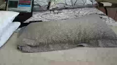 daddyslittleebony online show from 12, 4, 2026