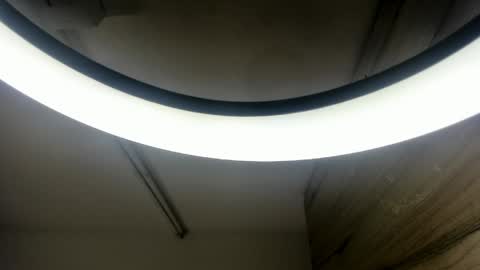 dafne_evaans online show from 19, 5, 2026