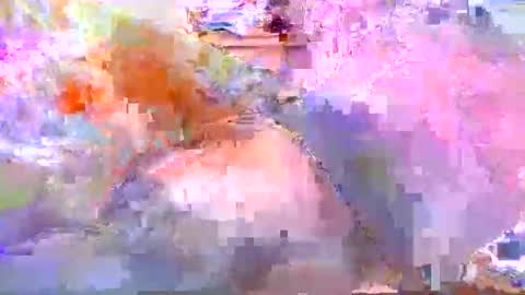 Snapshot of dafo1980 chatting on 20, 4, 2026 dafo1980 online show from 20, 4, 2026