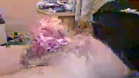 Snapshot of dafo1980 chatting on 23, 4, 2026 dafo1980 online show from 23, 4, 2026