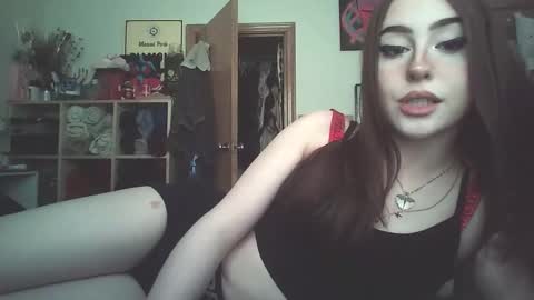 Daisy online show from 8, 10, 2025