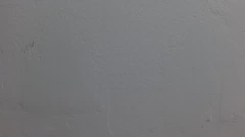 Dakota Johnson online show from 8, 11, 2025