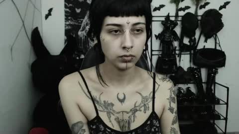 dakota online show from 4, 5, 2026