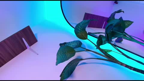 Snapshot of dalila_thoms chatting on 8, 11, 2025 Dalila online show from 8, 11, 2025