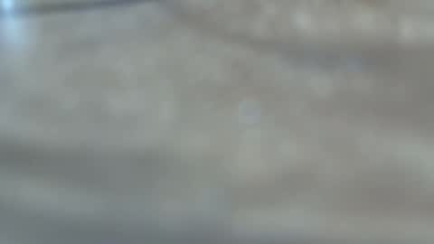 dancewhenyoucan9 online show from 22, 12, 2025