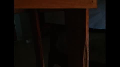 Snapshot of dangerhook chatting on 24, 11, 2025 dangerhook online show from 24, 11, 2025