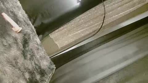 Nica online show from 10, 9, 2025