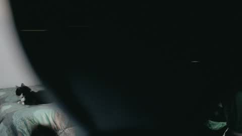 dani y jocelyn online show from 2, 3, 2025