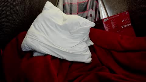 Snapshot of daniel_like chatting on 24, 3, 2026 Just Ben online show from 24, 3, 2026