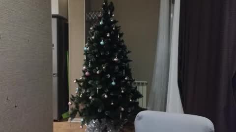 danila online show from 18, 1, 2026