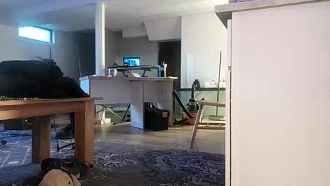 danimal5000 online show from 17, 11, 2025