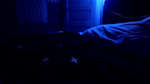 dankfuckcouple online show from 12, 3, 2025