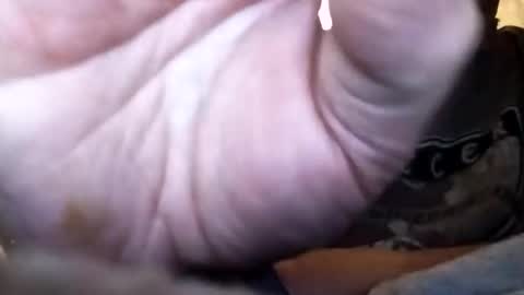 Snapshot of dannowisc chatting on 1, 2, 2026 dannowisc online show from 1, 2, 2026