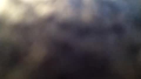 Snapshot of dannowisc chatting on 1, 3, 2026 dannowisc online show from 1, 3, 2026