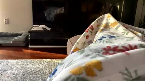 dannyboy621 online show from 26, 10, 2025