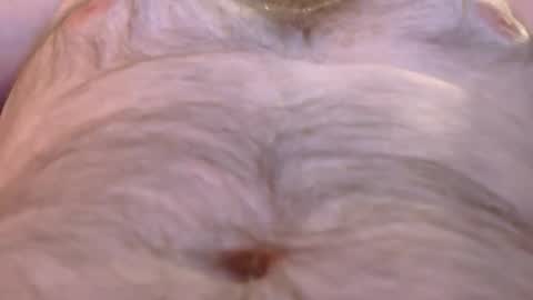 Master Dan online show from 26, 3, 2026