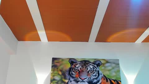 DANTE online show from 6, 3, 2025