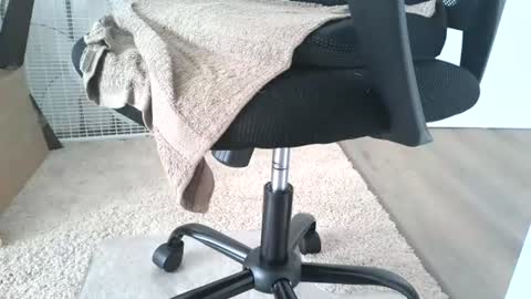 Snapshot of dapppper chatting on 13, 6, 2026 dapppper online show from 13, 6, 2026