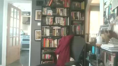 Darcy online show from 26, 3, 2026