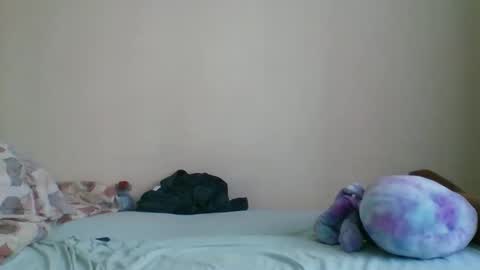 Darin online show from 2, 4, 2026