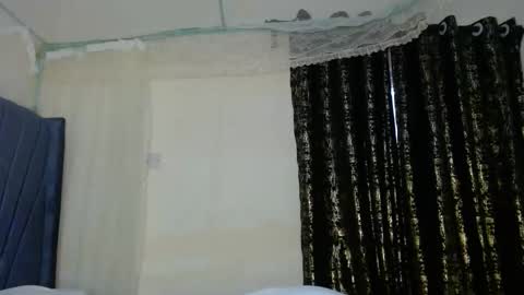 Tiff online show from 17, 1, 2026