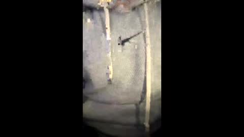 darklight69s25 online show from 6, 1, 2026