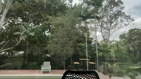 dartanian0001 online show from 1, 10, 2025