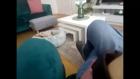 davf76 online show from 14, 4, 2026