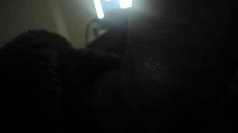 david089613 online show from 13, 1, 2026