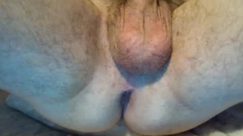 davidassboy69 online show from 4, 8, 2026