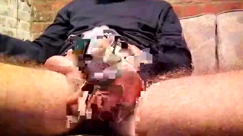 davido online show from 16, 11, 2025