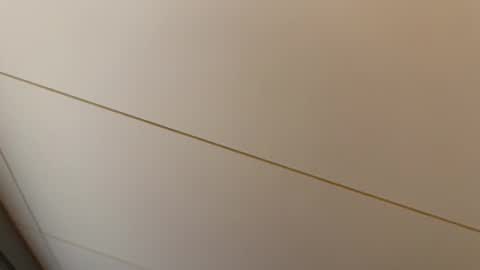 Hornybear online show from 27, 2, 2026