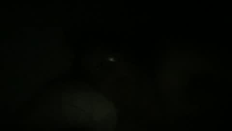 Snapshot of dbdude71 chatting on 25, 1, 2025 dbdude71 online show from 25, 1, 2025