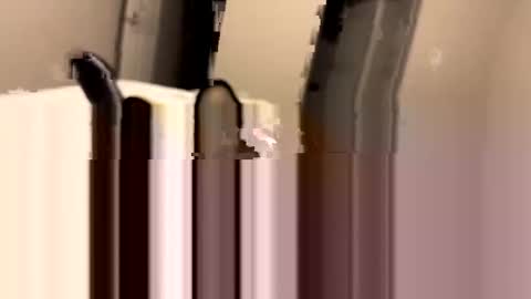 dbikes182 online show from 3, 1, 2025