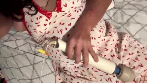 dbikes182 online show from 1, 10, 2025