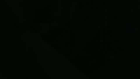 ddog1993 online show from 22, 4, 2026