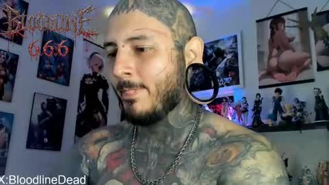    online show from 11, 4, 2026