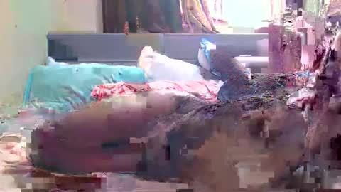 debbyslatter online show from 21, 2, 2025