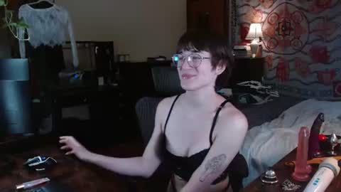 Snapshot of decemberholiday chatting on 14, 7, 2026 decemberholiday online show from 14, 7, 2026