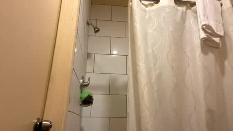 Camila Palacios online show from 25, 1, 2025