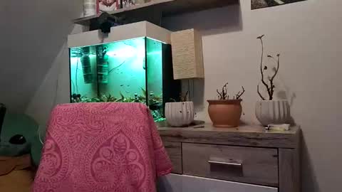 Denise and Brad online show from 3, 2, 2026