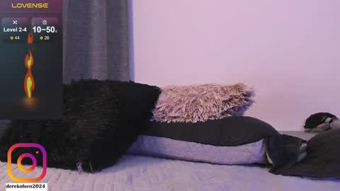 Derek  IG Derekolsen2024 online show from 6, 12, 2024