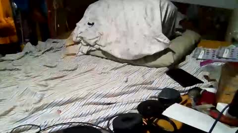 derick1961 online show from 4, 3, 2026