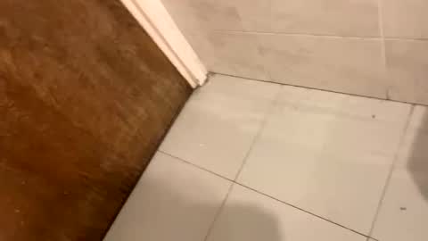 destrosandotelculo online show from 9, 11, 2025