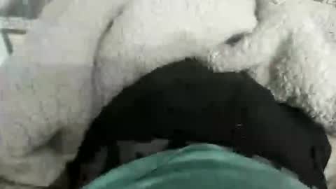 destrosandotelculo online show from 28, 11, 2025